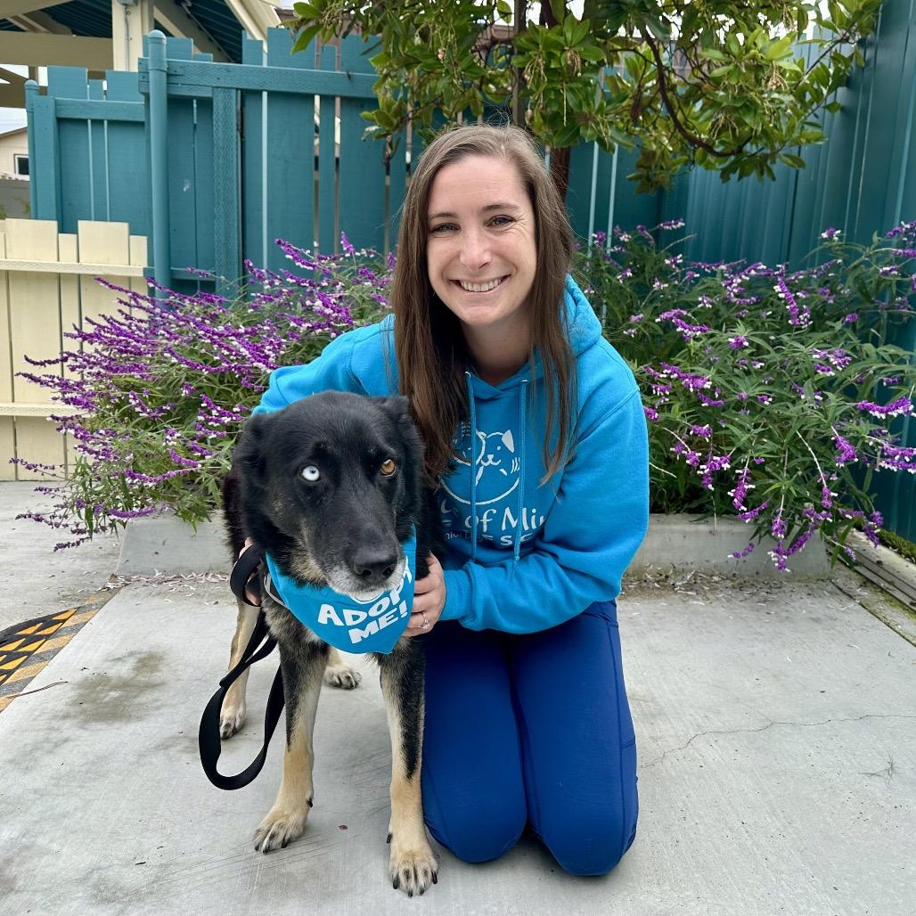 Enlarge Elvira, a Adoptable mixed breed in Pacific Grove, CA image 5/5
