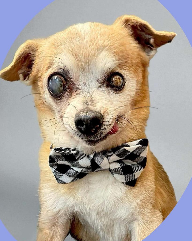 Lenard — thumbnail 6