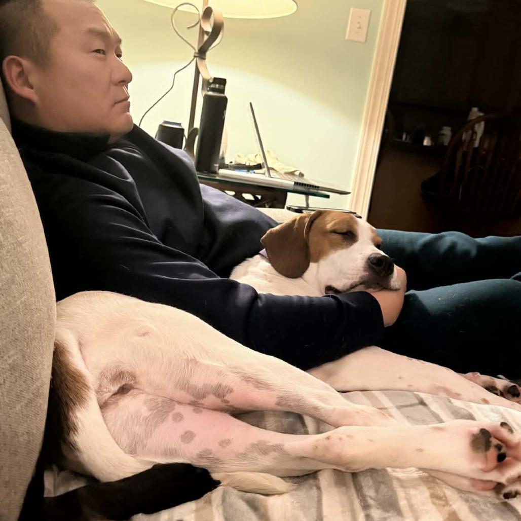 Enlarge Tannie, a Adoptable mixed breed in Winston-Salem, NC image 1/6