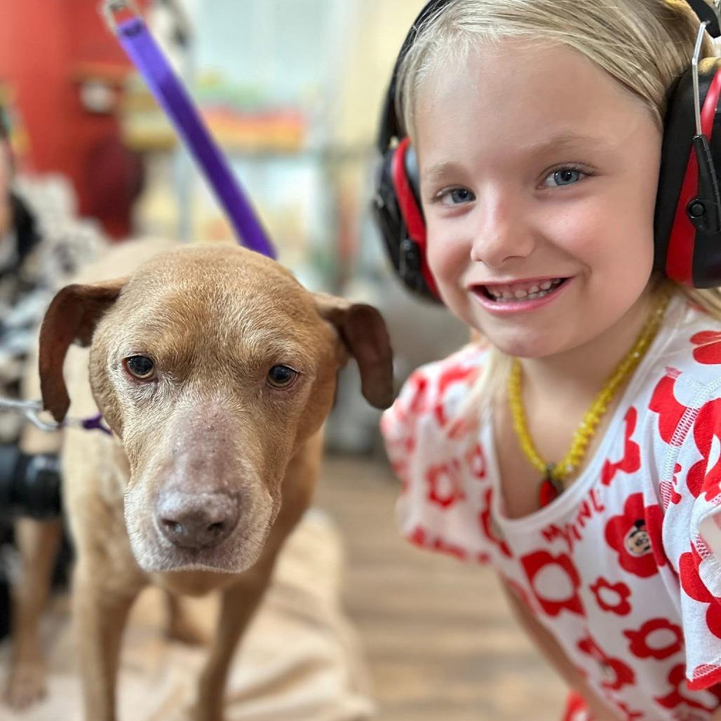 Enlarge Cash, a Adoptable mixed breed in Marion, IA image 2/4