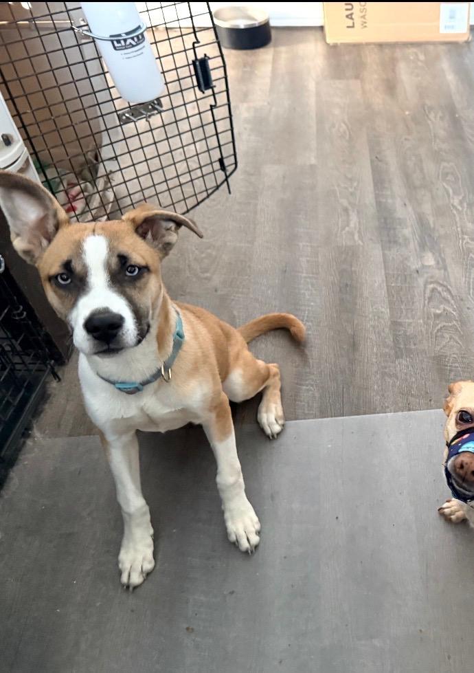 Polly — thumbnail 5