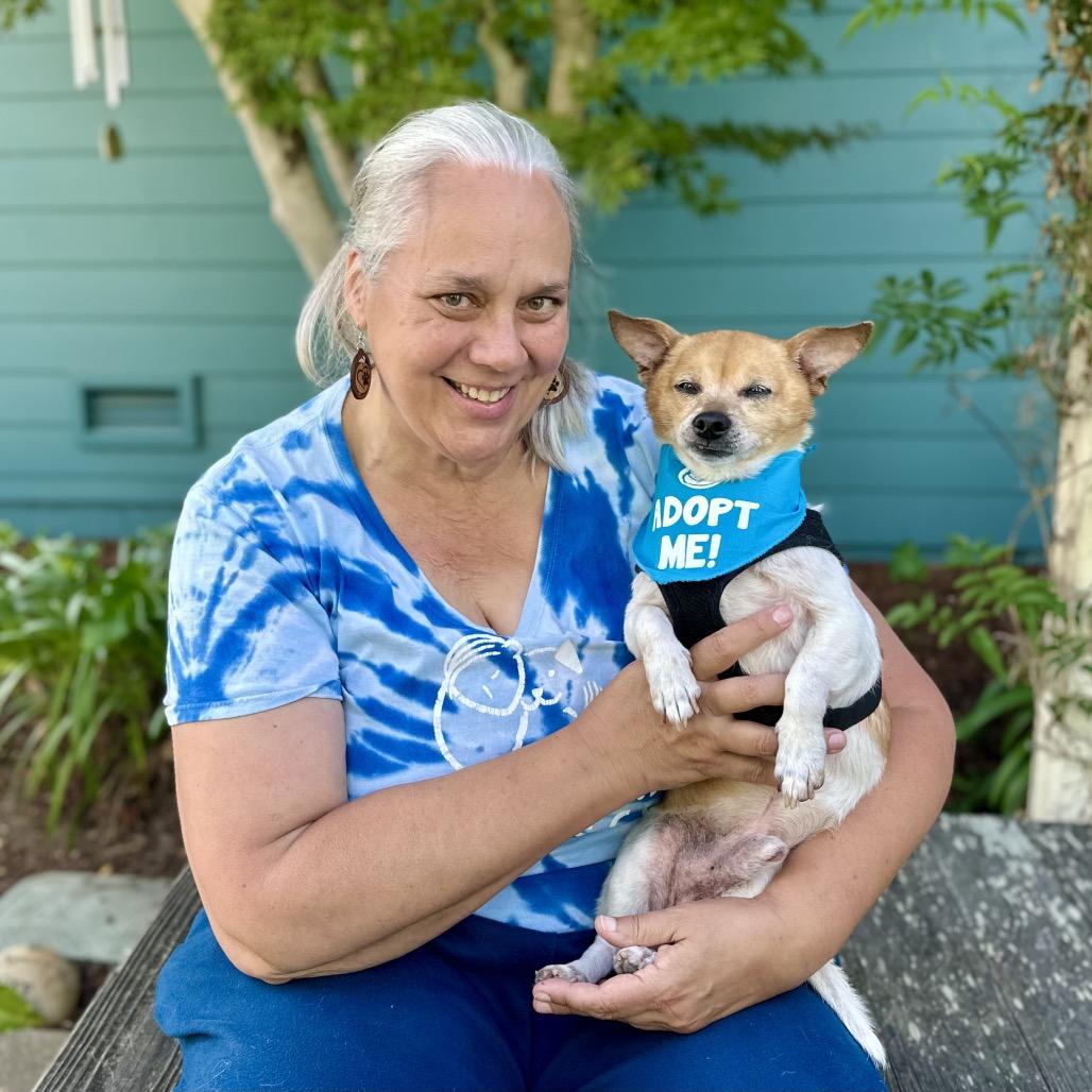 Enlarge Clove, a Adoptable Chihuahua in Pacific Grove, CA image 4/6