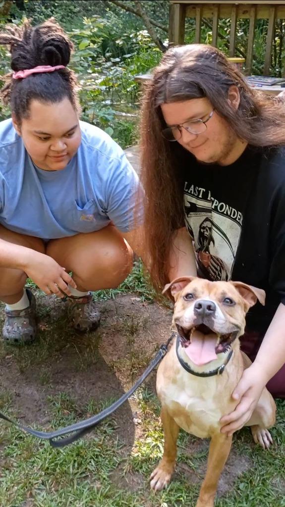 Enlarge Angus (aka Marion), a Adoptable mixed breed in Hartsville, SC image 3/5