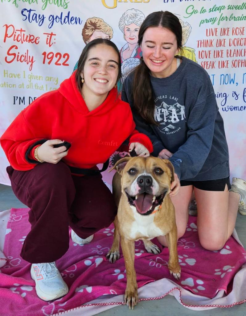 Enlarge Angus (aka Marion), a Adoptable mixed breed in Hartsville, SC image 3/6