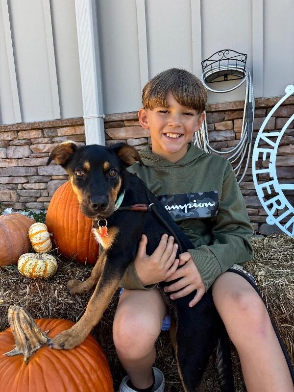 Lonny, a Adoptable mixed breed in Berkeley Heights, NJ image 3/6