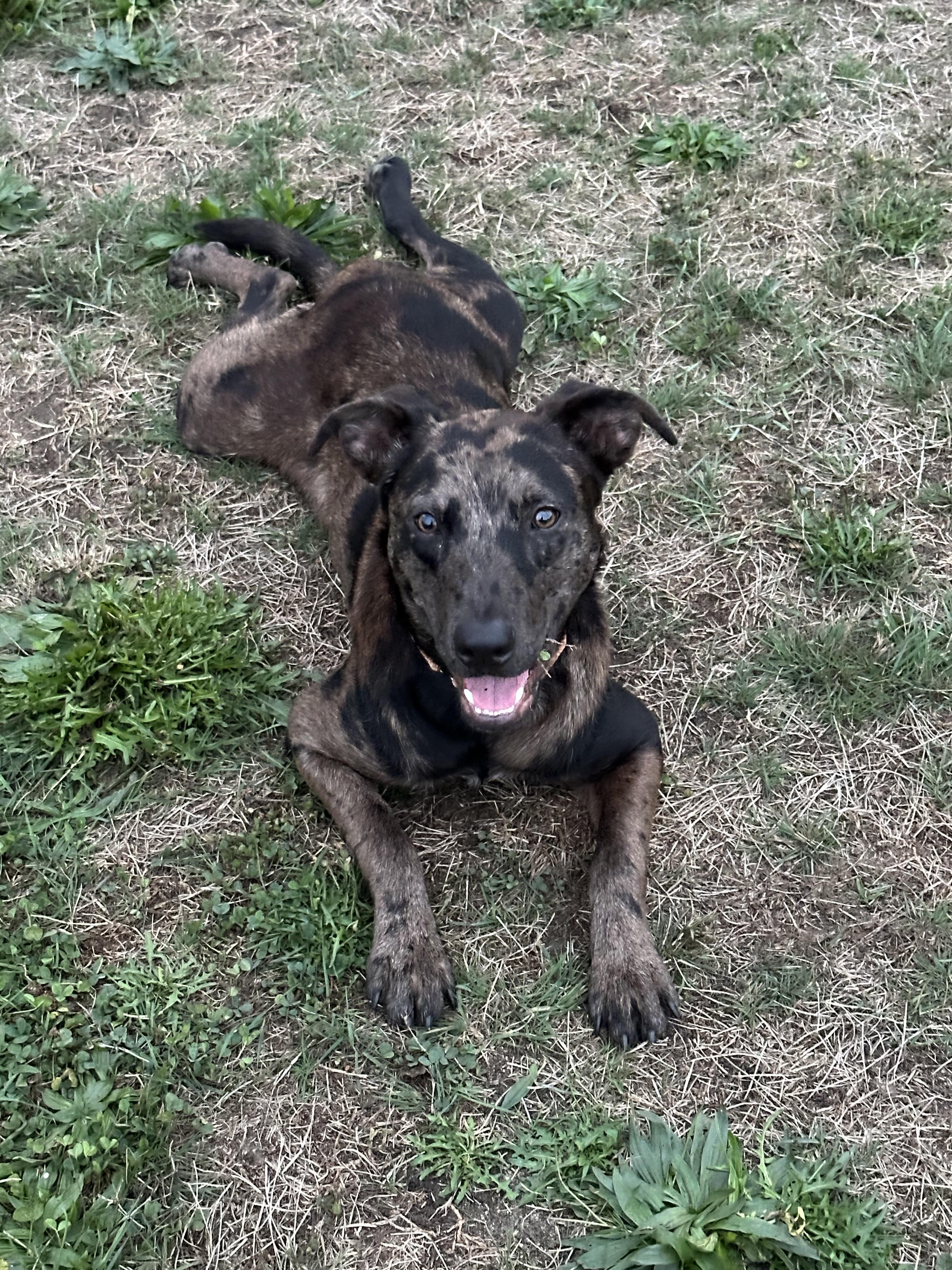Remi - MA