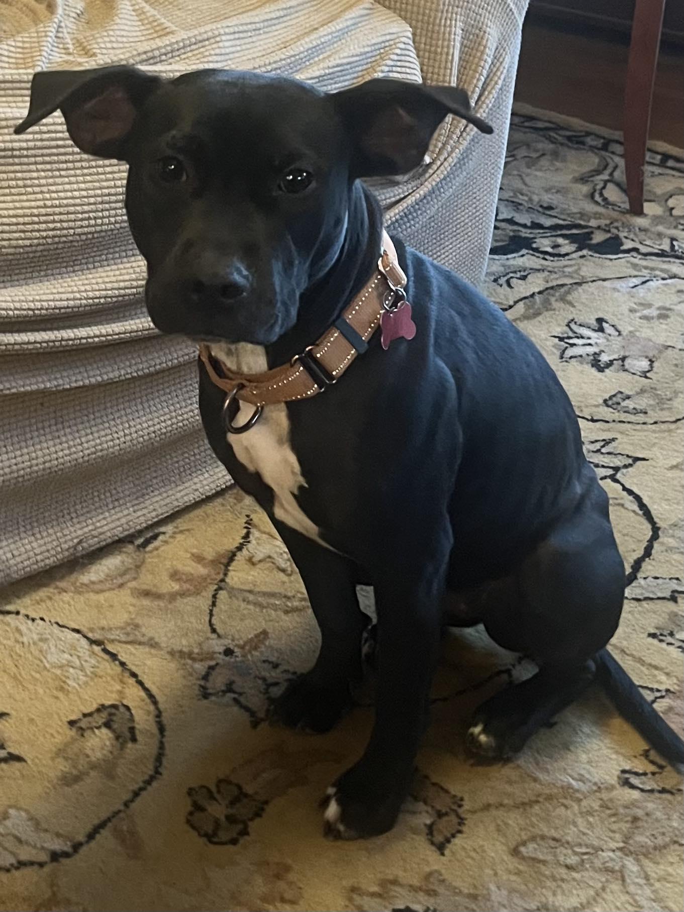 Daisy — thumbnail 2