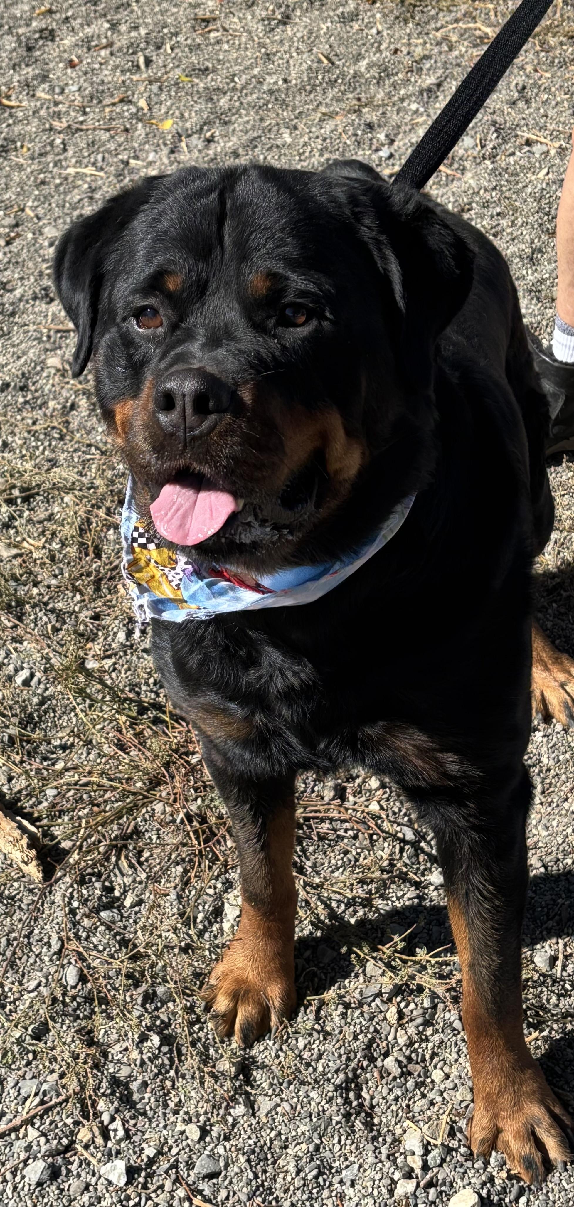 Zuko