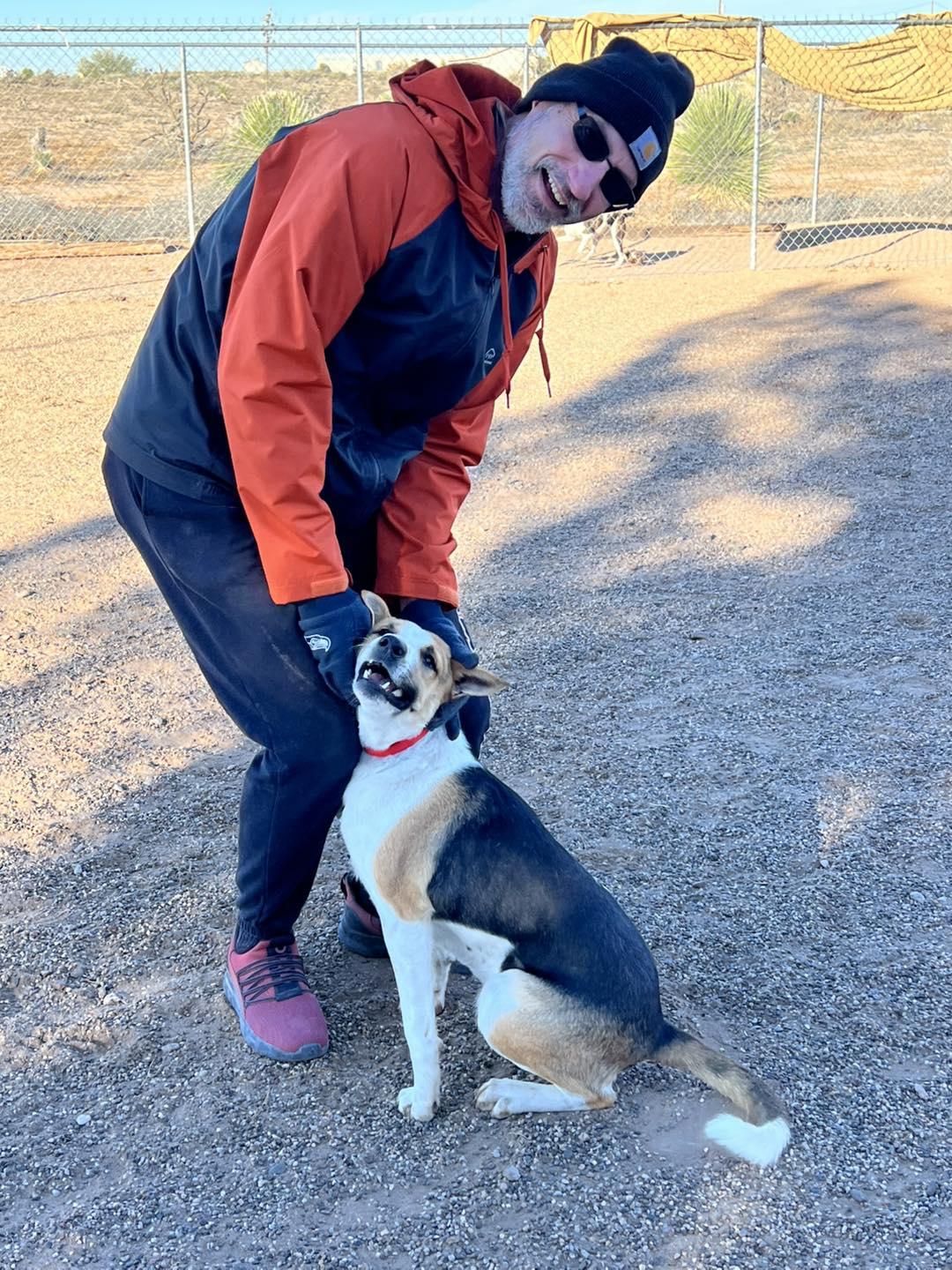Enlarge Bon Jovi, an adopted mixed breed in Deming, NM image 2/5