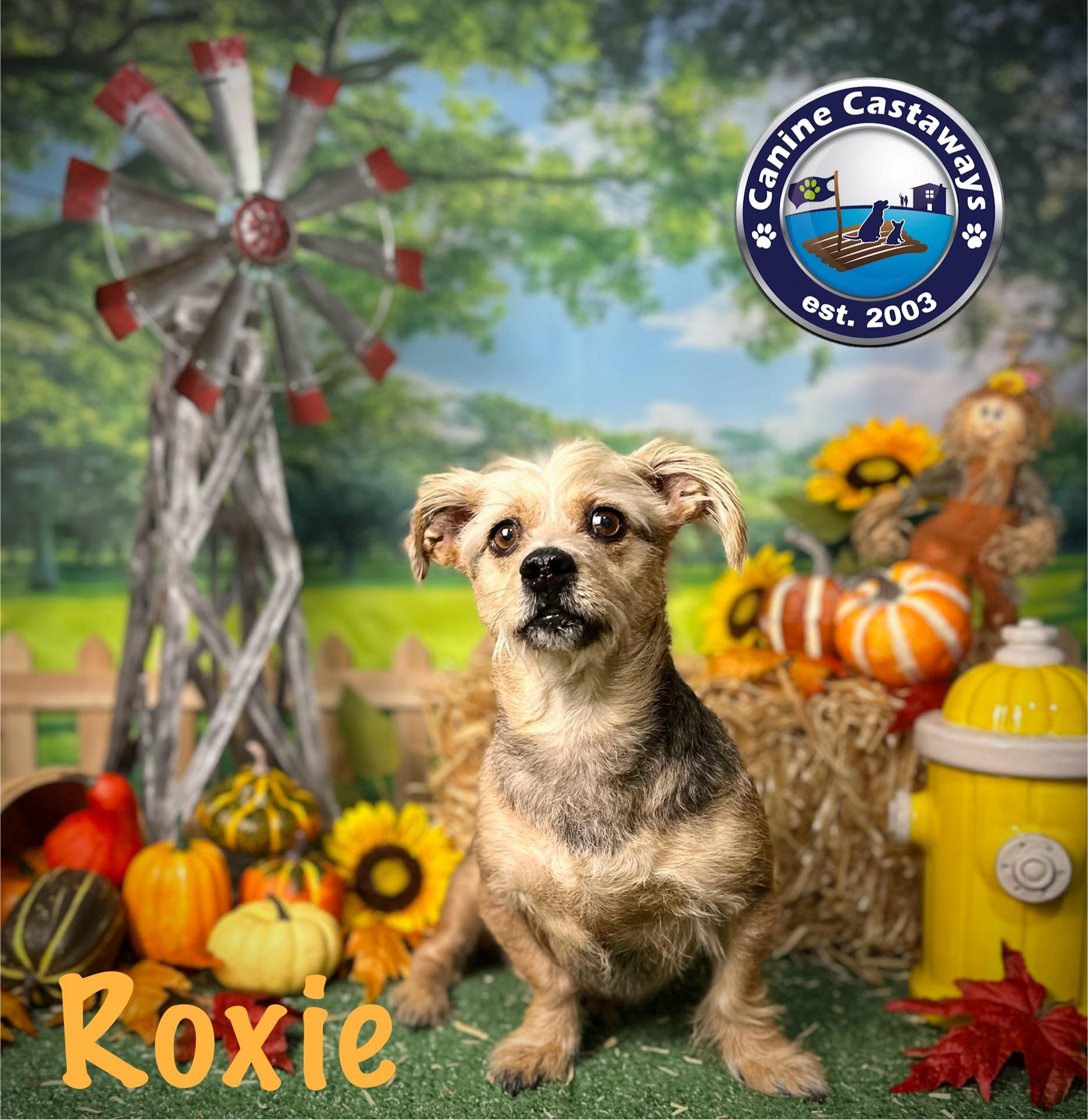 Roxie