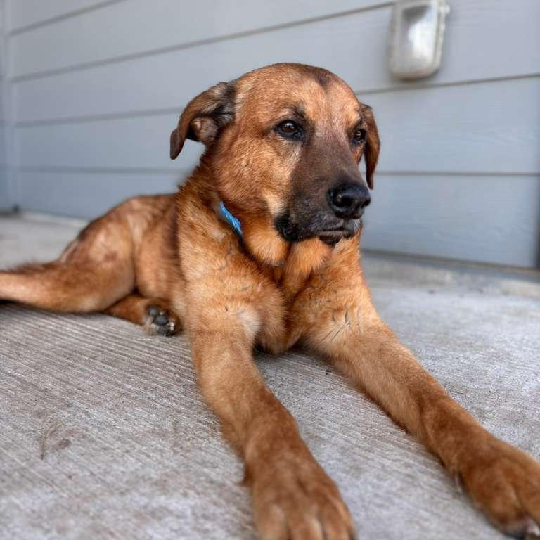 Conway — thumbnail 5