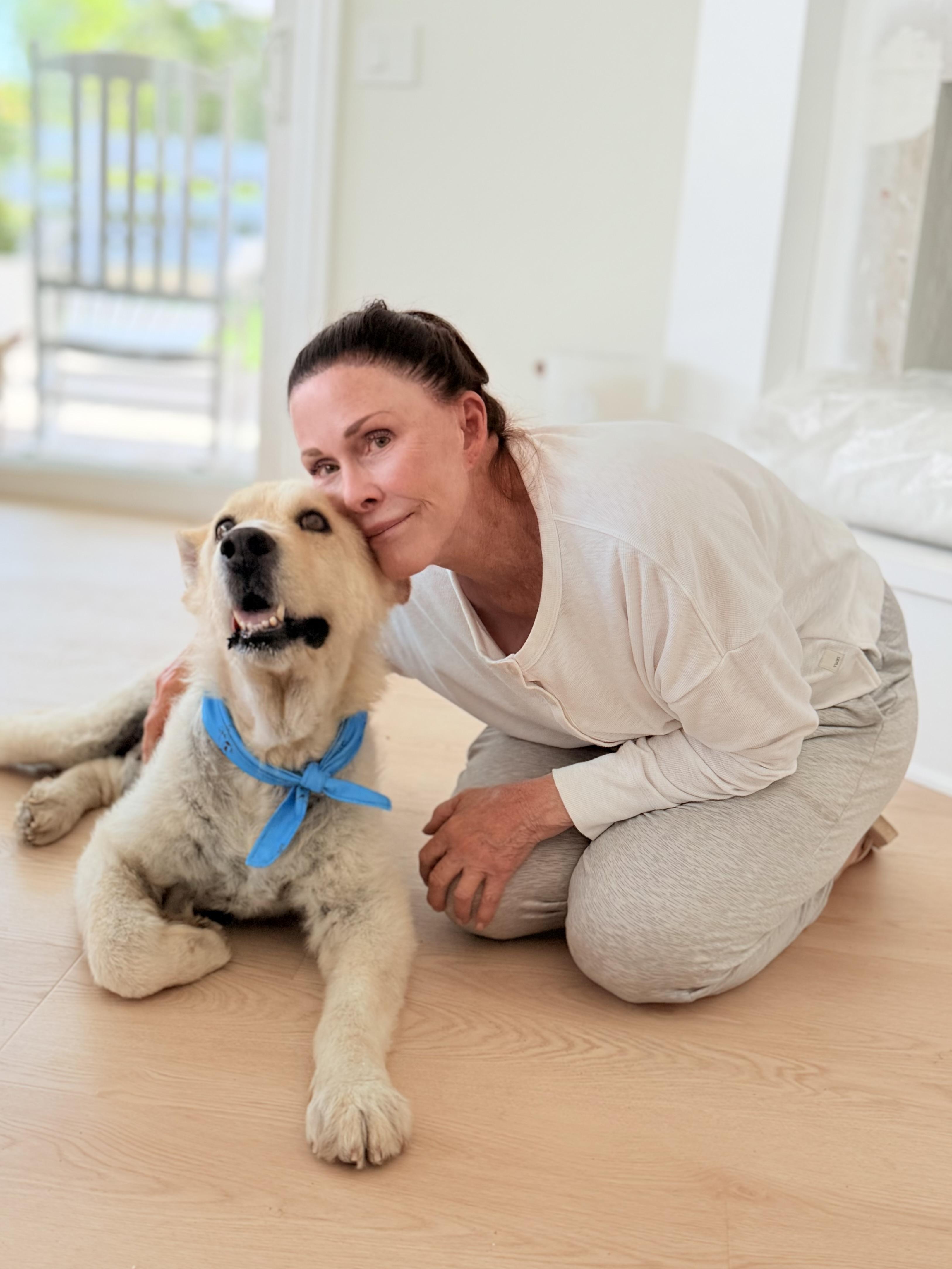Scout, a ADOPTABLE Mixed Breed in Thousand Oaks, CA image 2/6