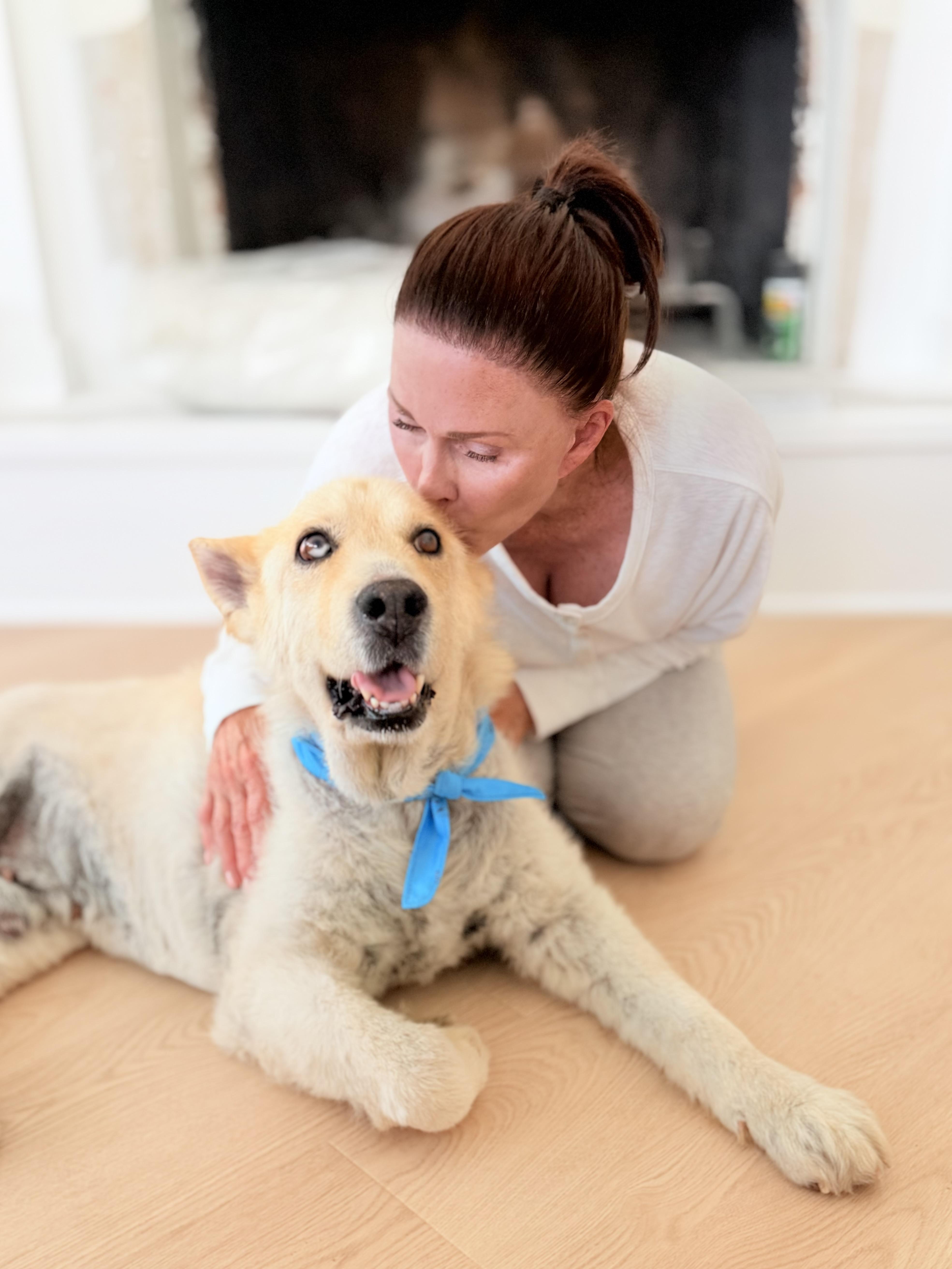 Scout, a ADOPTABLE Mixed Breed in Thousand Oaks, CA image 4/6