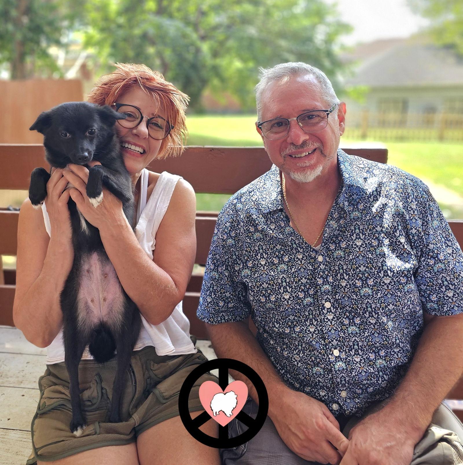 Enlarge Cherry, a Adopted mixed breed in Lebanon, PA image 3/3