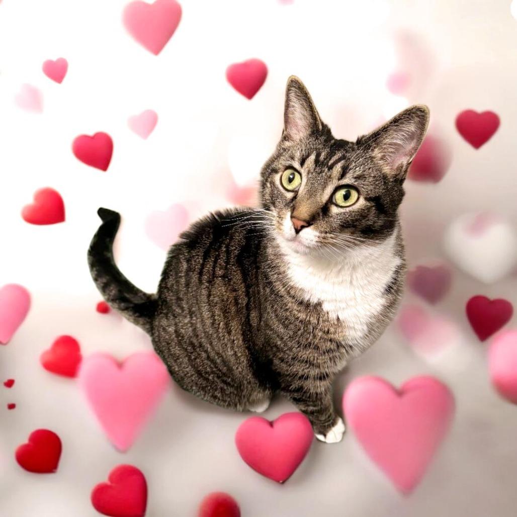 Little Man — thumbnail 2