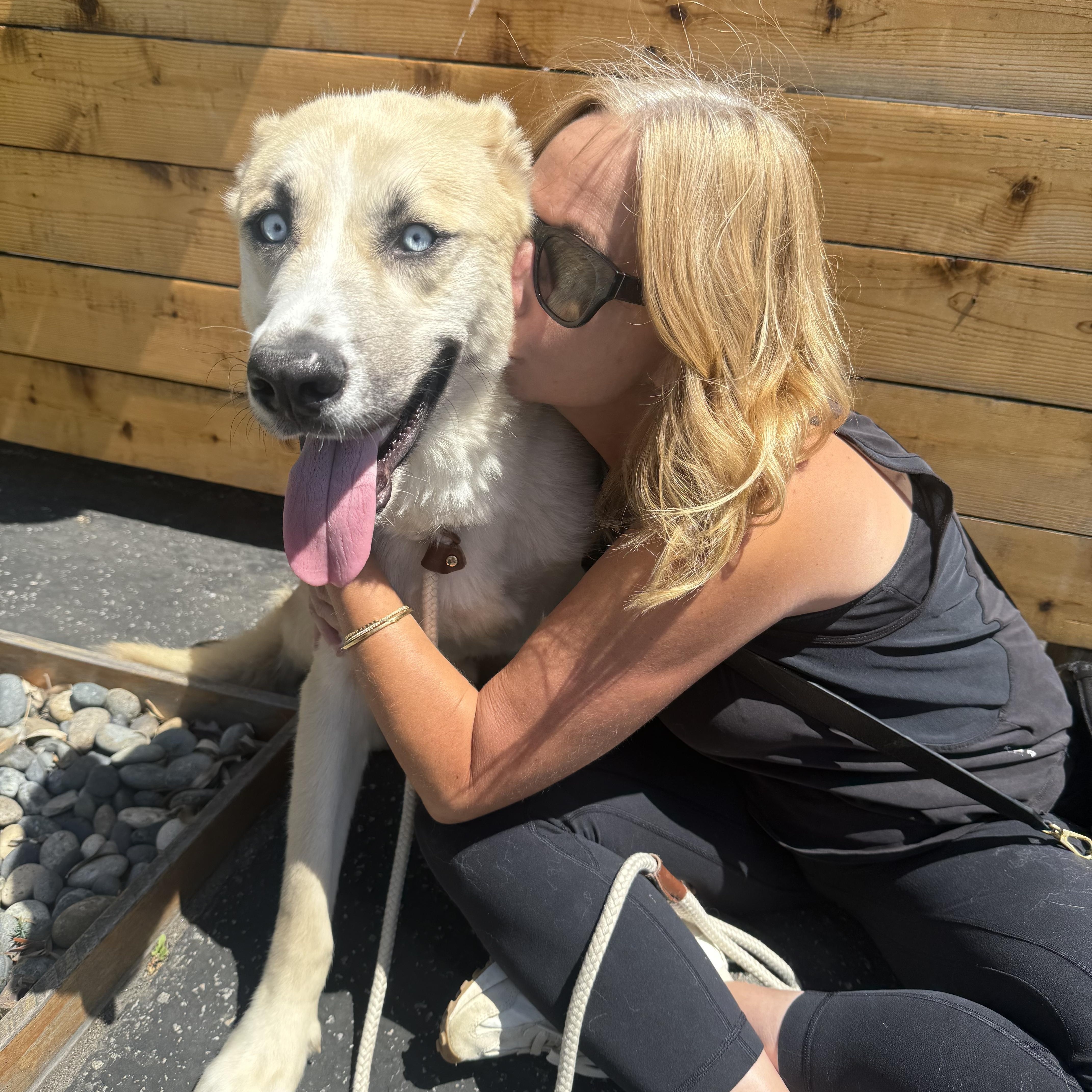 Enlarge Frankie, a Adoptable mixed breed in Los Osos, CA image 4/6