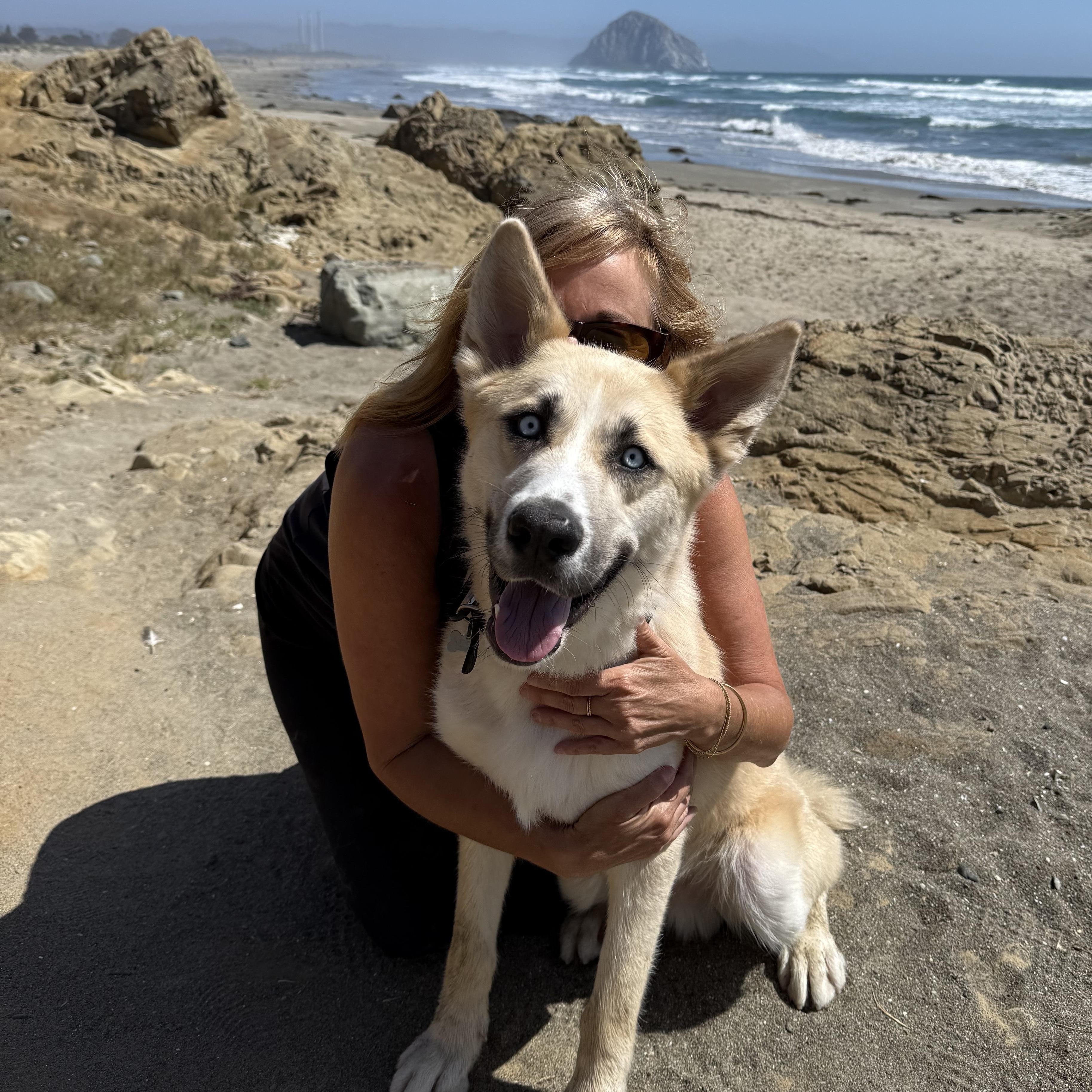 Enlarge Frankie, a Adoptable mixed breed in Los Osos, CA image 2/6