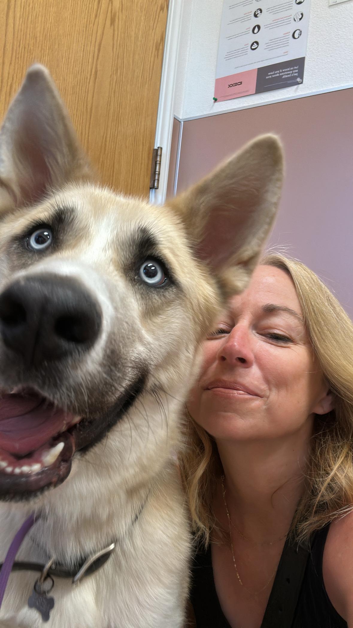 Enlarge Frankie, a Adoptable mixed breed in Los Osos, CA image 6/6