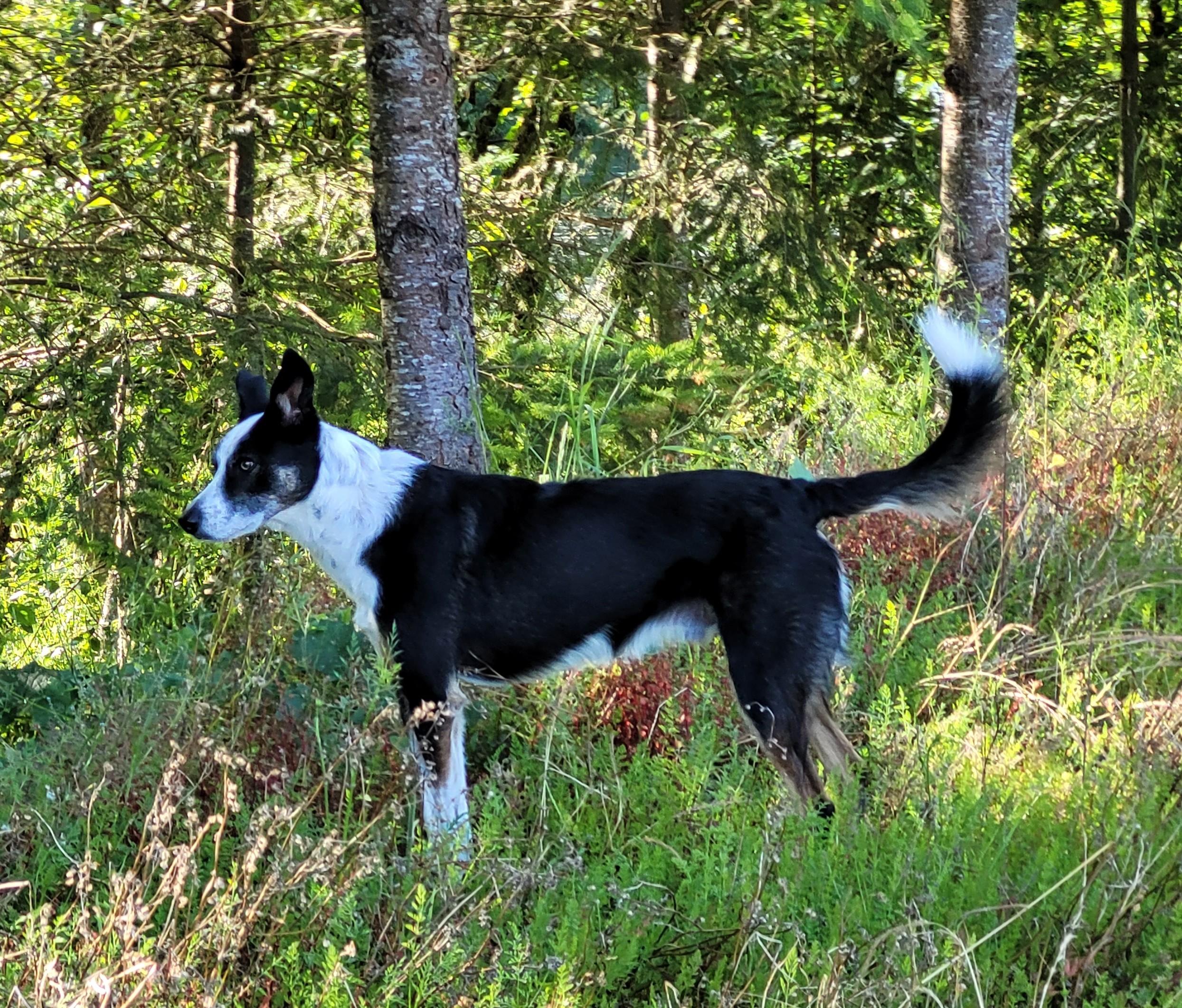 Courtest Listing - Jackson photo 1