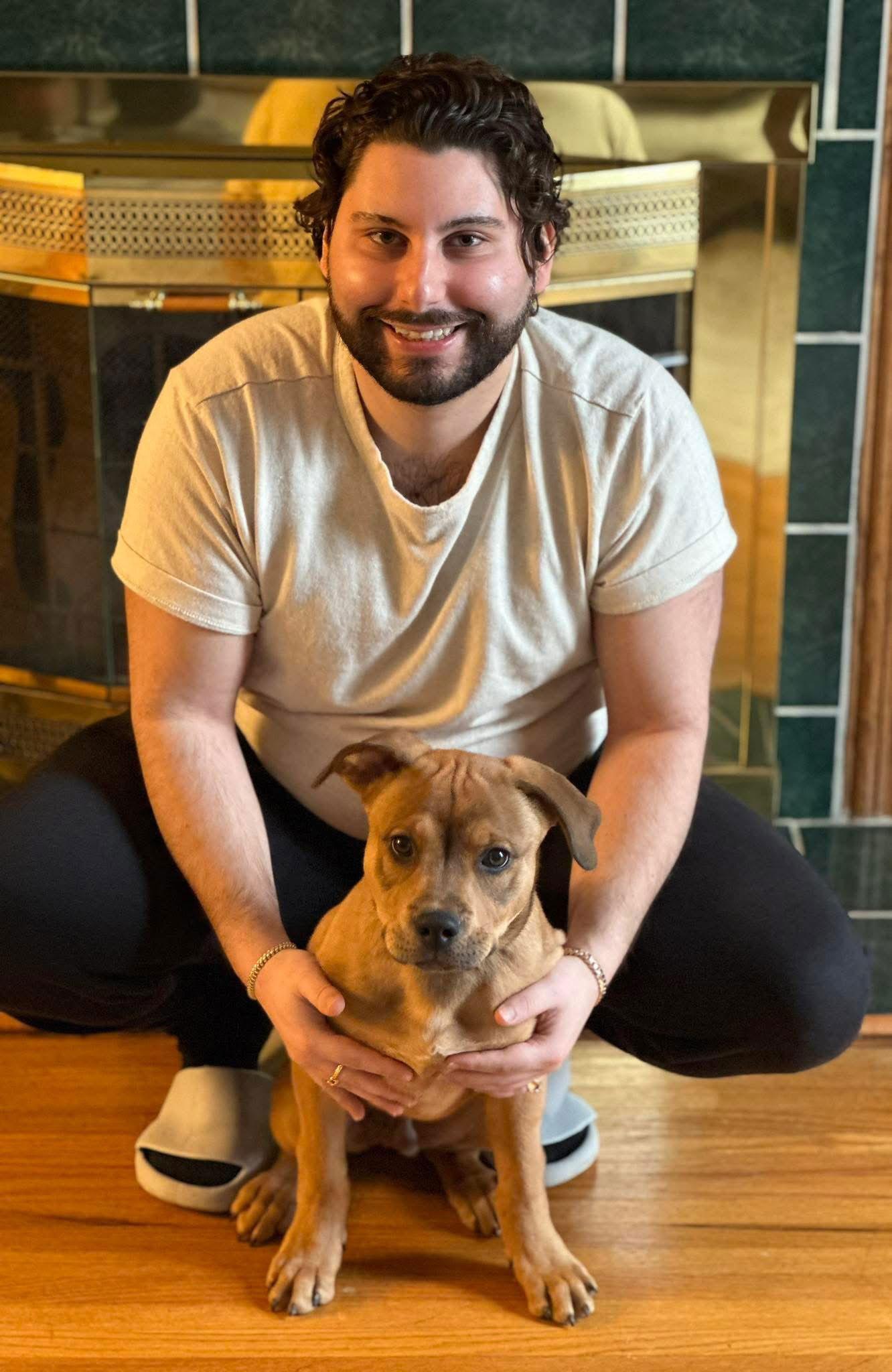 Abe, Adopted, Puppy Male American Bulldog.