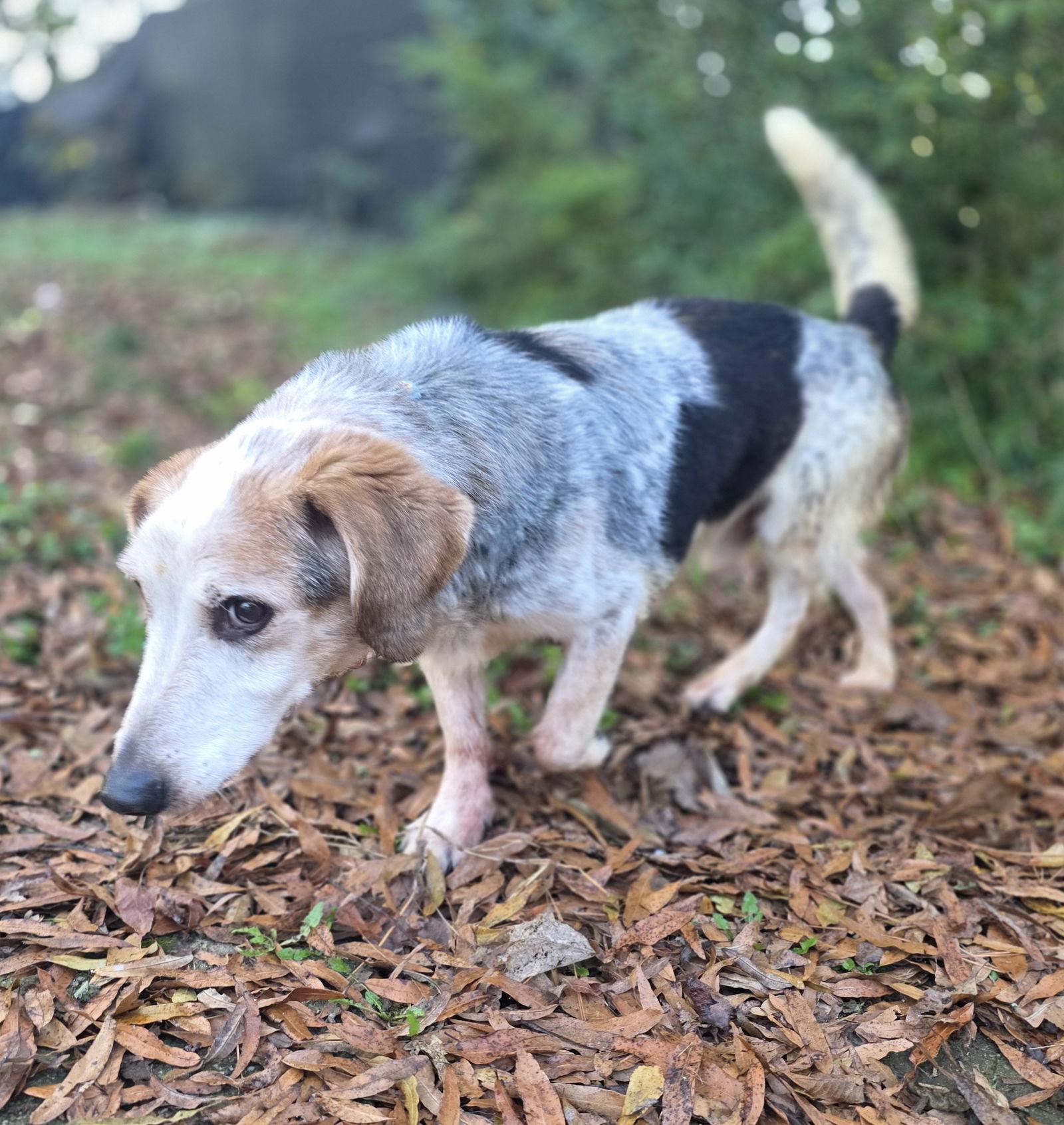 Maxus Haven bonded with Pheobie Haven — thumbnail 2