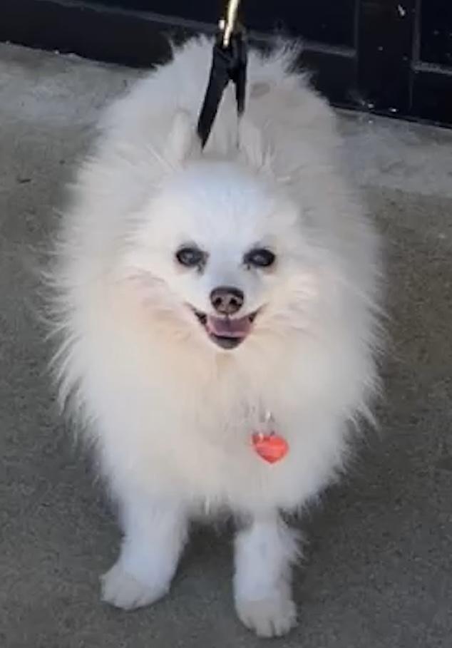 Fluffy