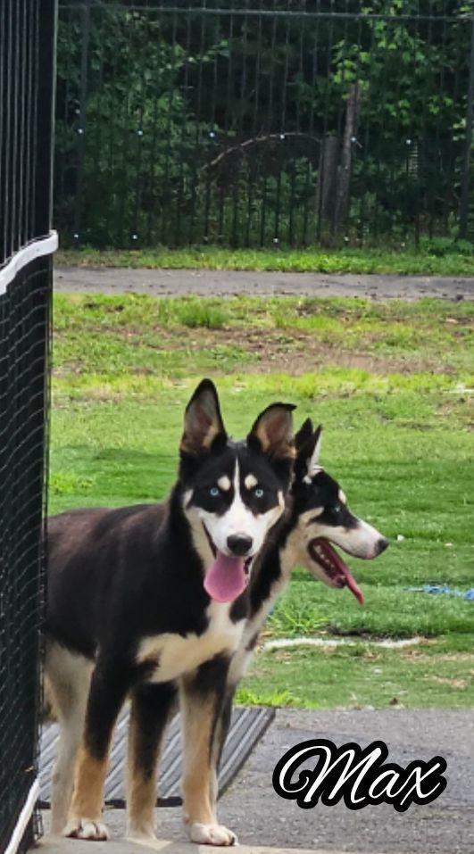 Max