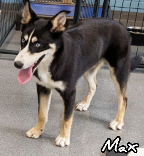 Max