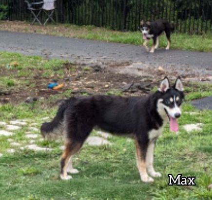 Max