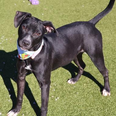 Zara — thumbnail 5