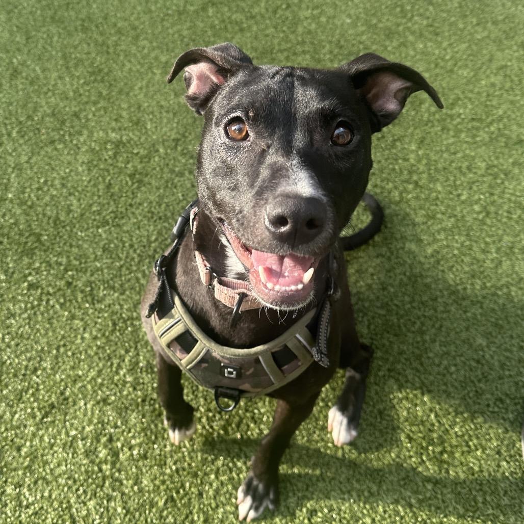 Zara — thumbnail 6