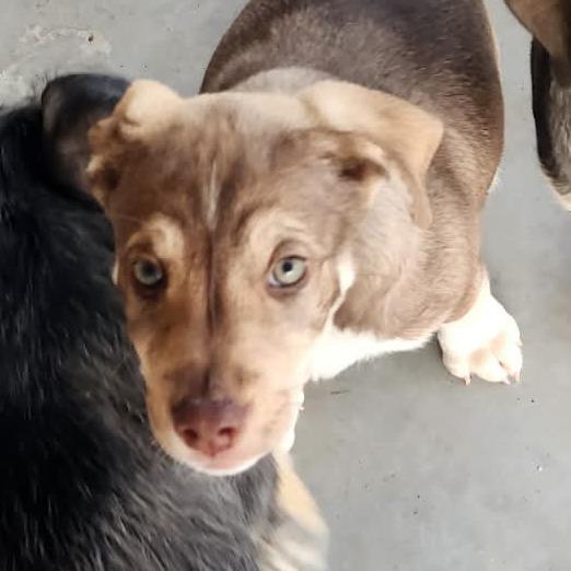 Buffalo  Missouri thumbnail 2