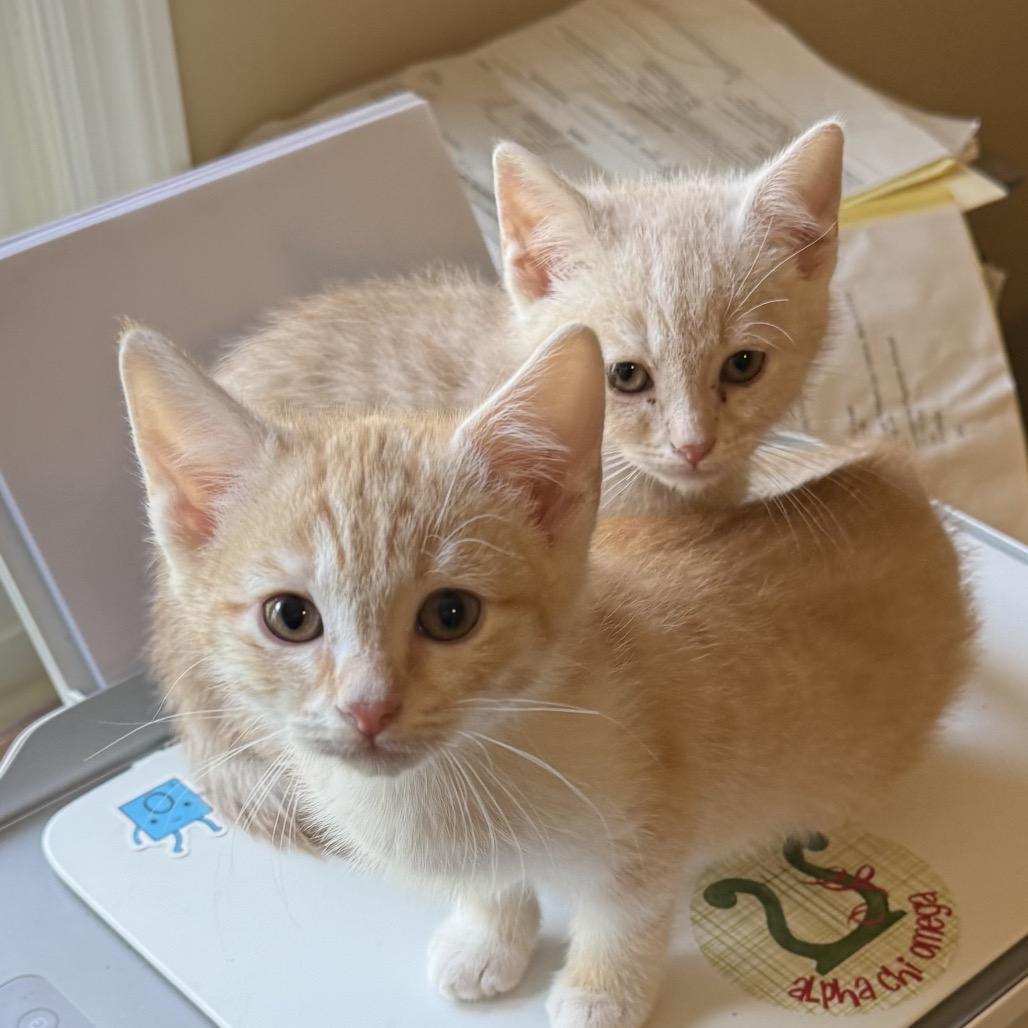 Nemo — thumbnail 3