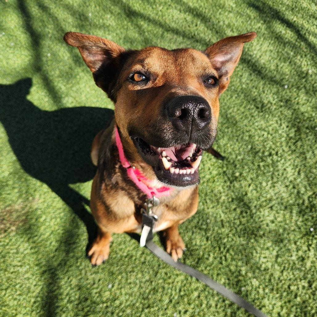 Mr. Sideways — thumbnail 2