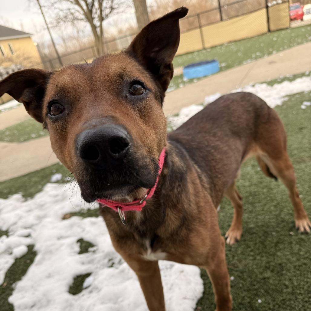 Mr. Sideways — thumbnail 4