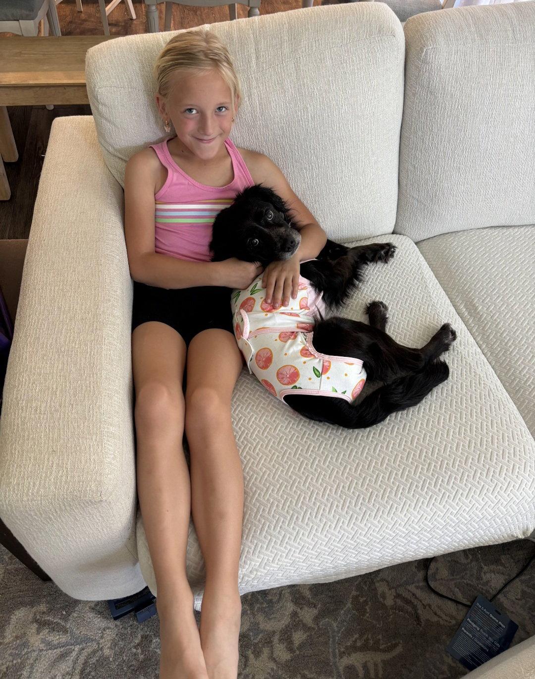 Gracie, a Adopted mixed breed in Escondido, CA image 2/3