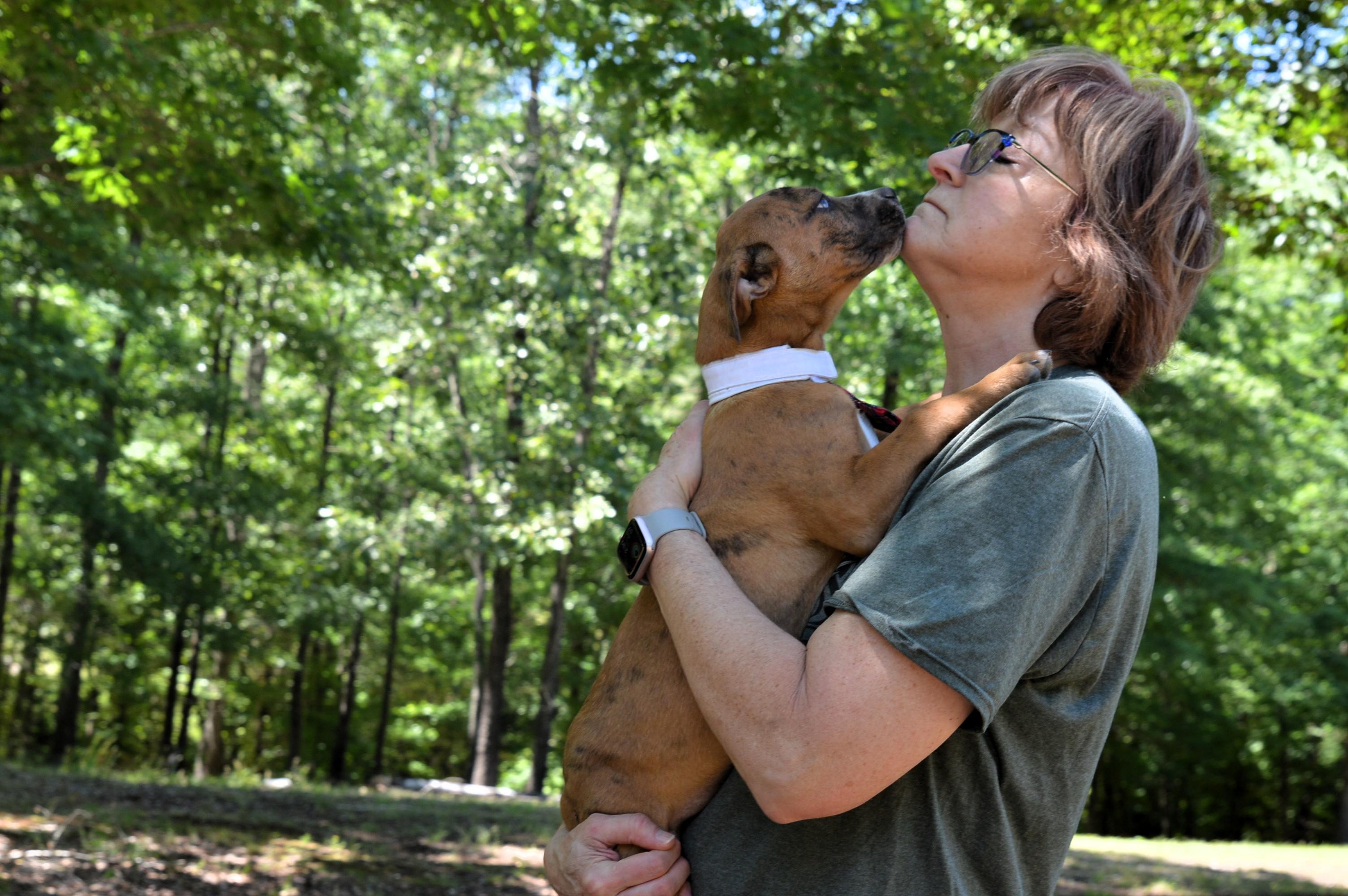 Enlarge HARRY, an adopted mixed breed in Bristol, CT image 6/6
