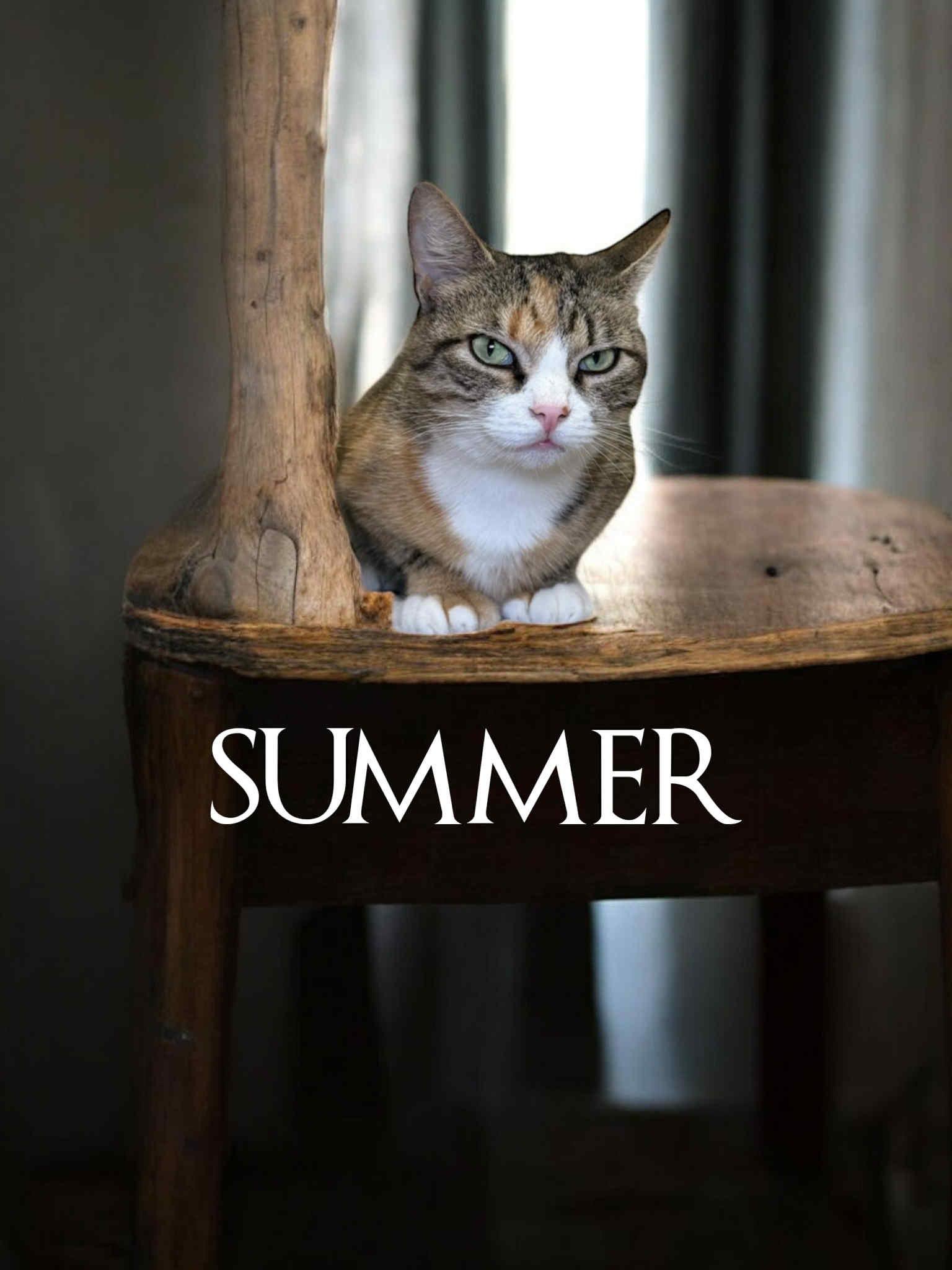 Summer & May