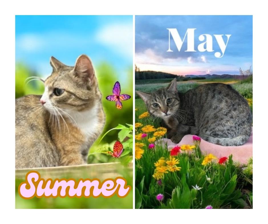 Summer & May
