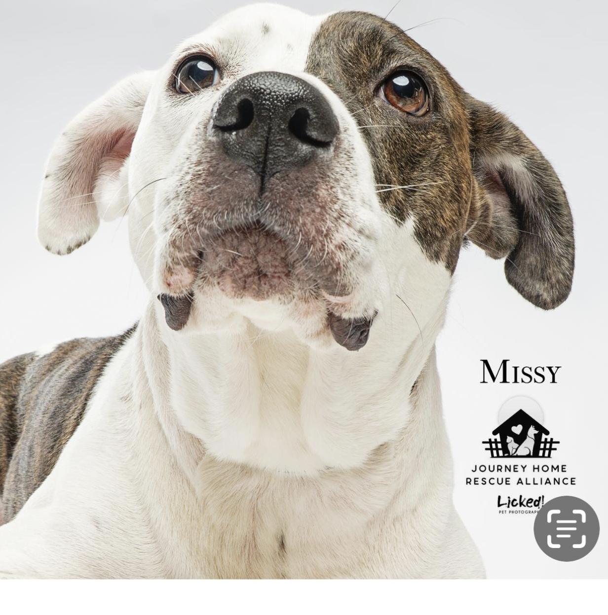 Missy