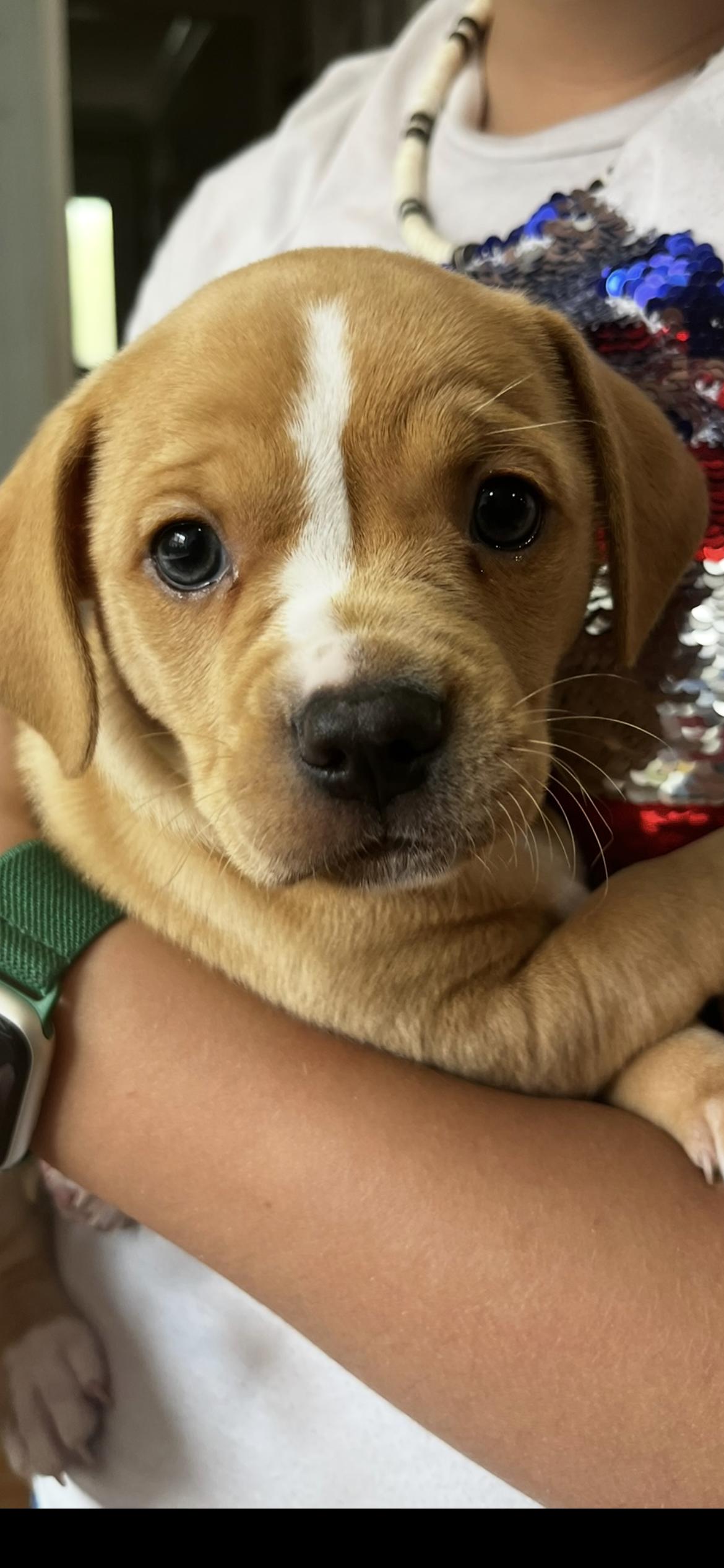 Oliver