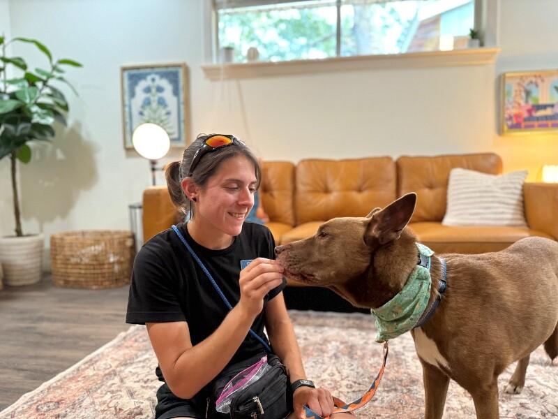 Layla the Dog Lovin Doll — thumbnail 3