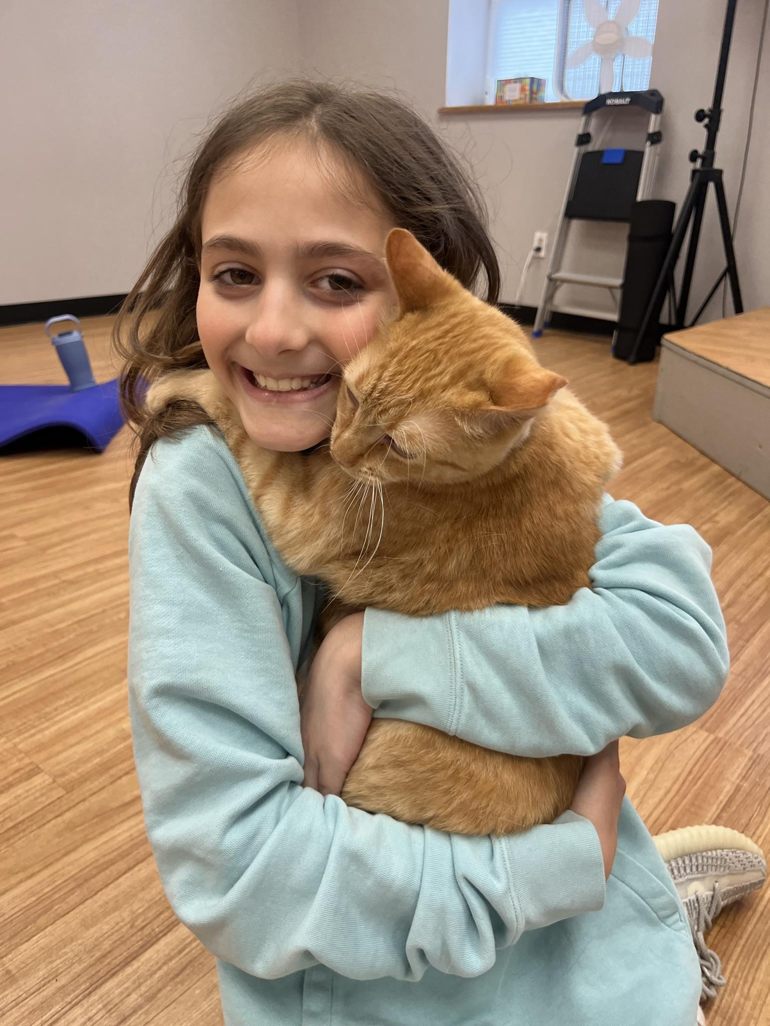 Enlarge Garfield, a Adoptable Domestic Short Hair in North Haledon, NJ image 6/6