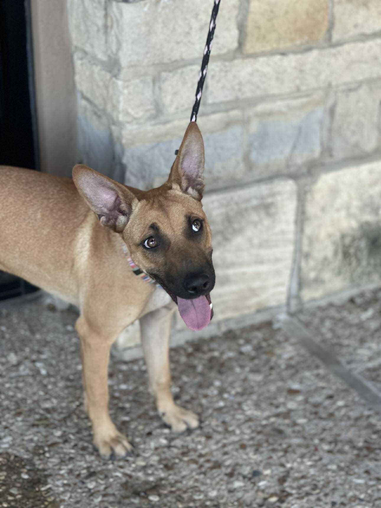 Lottie Lou thumbnail 4