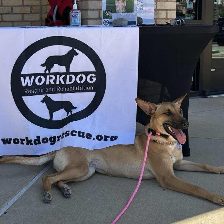 Lottie Lou thumbnail 5