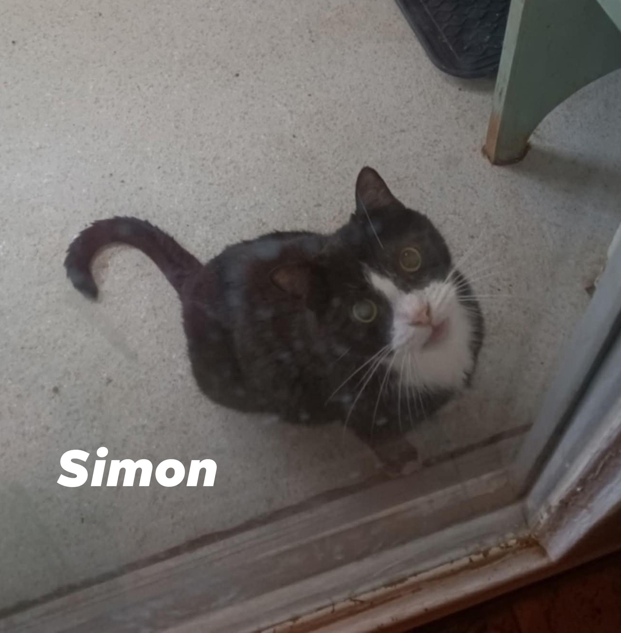 Simon
