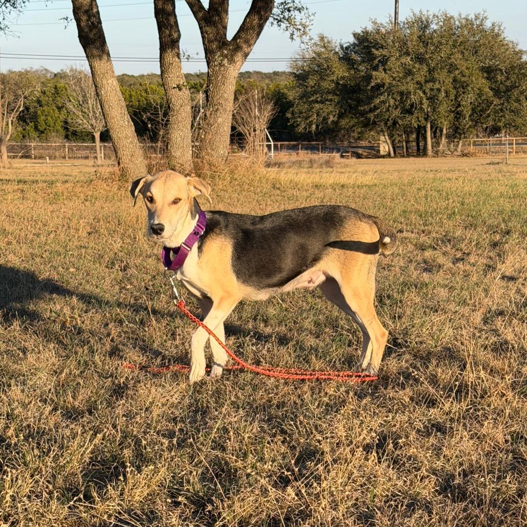 Princess Peach — thumbnail 2