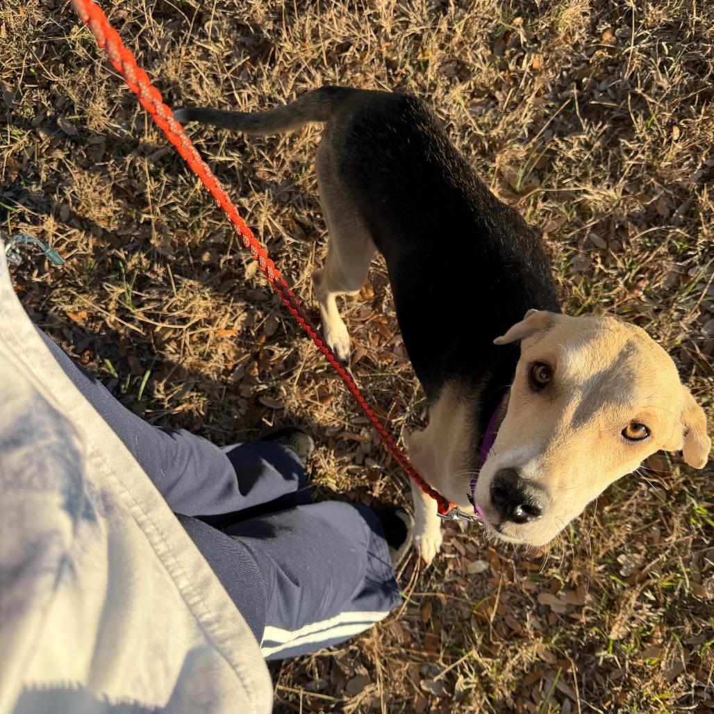 Princess Peach — thumbnail 3