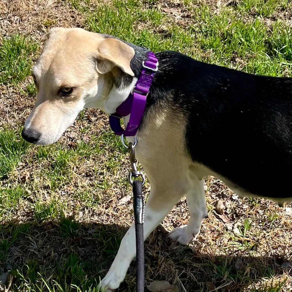 Princess Peach — thumbnail 4