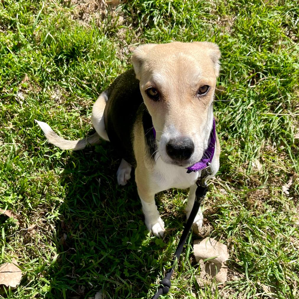 Princess Peach — thumbnail 5